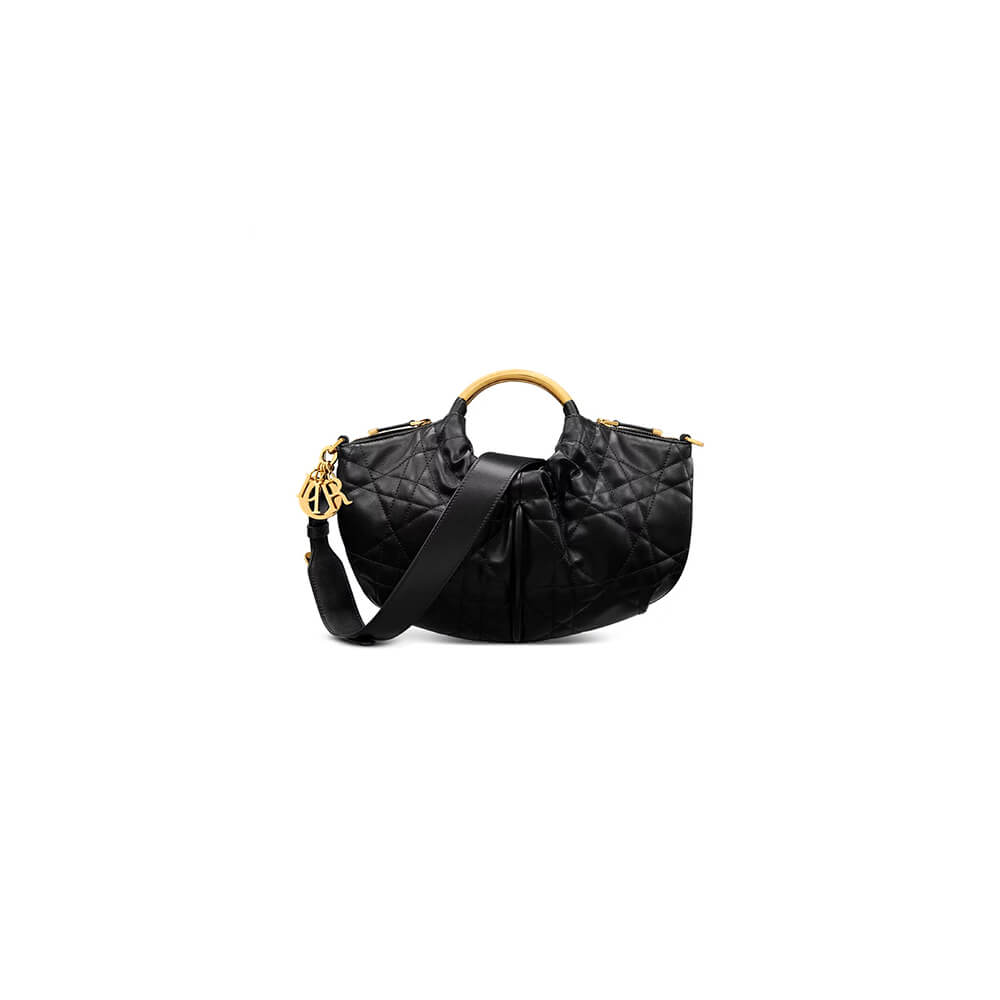 Dior Walk in Dior Purse